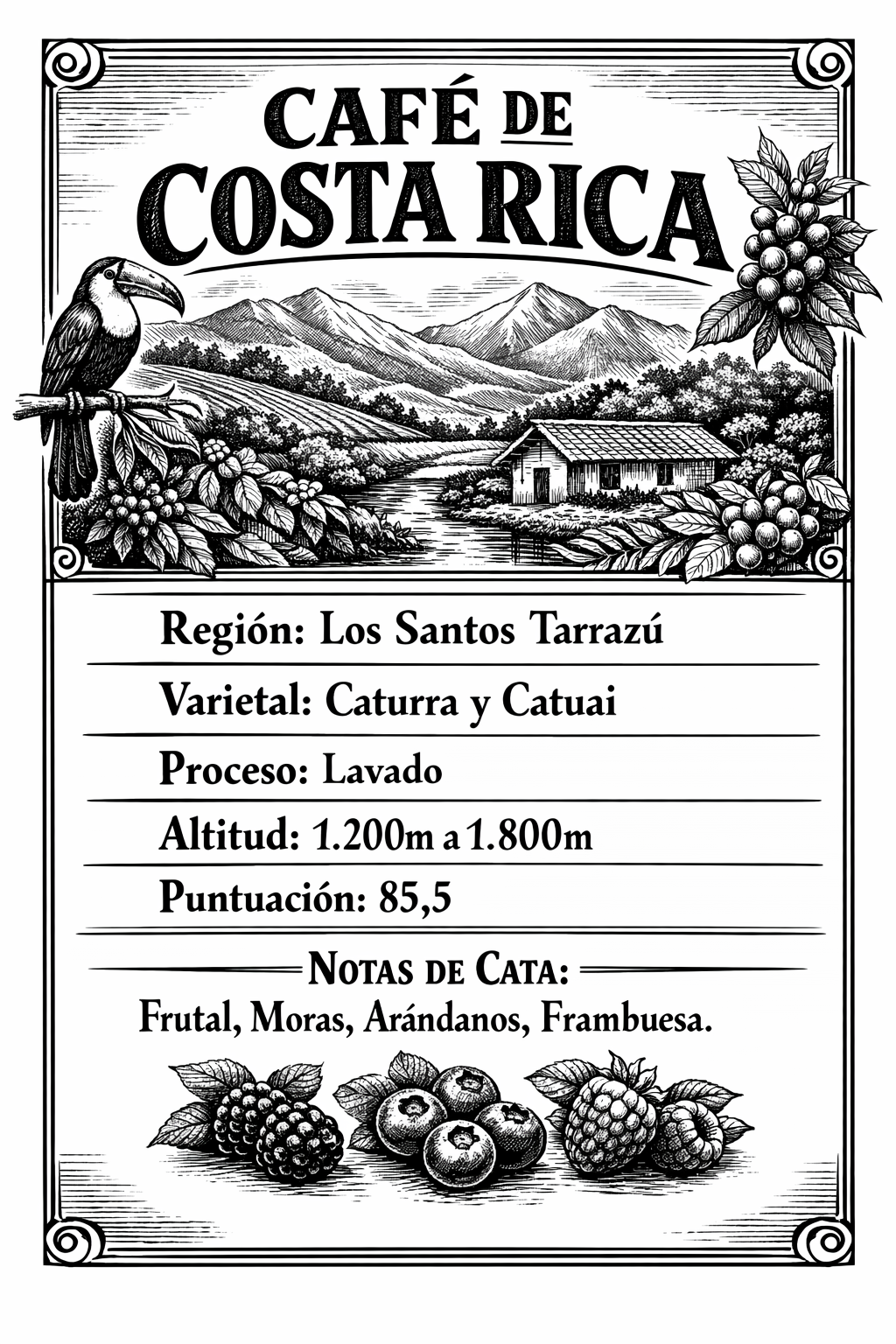 Café de Especialidad - Costa rica, Tarrazú. Notas: mora, arándanos y frambuesa | 250 g