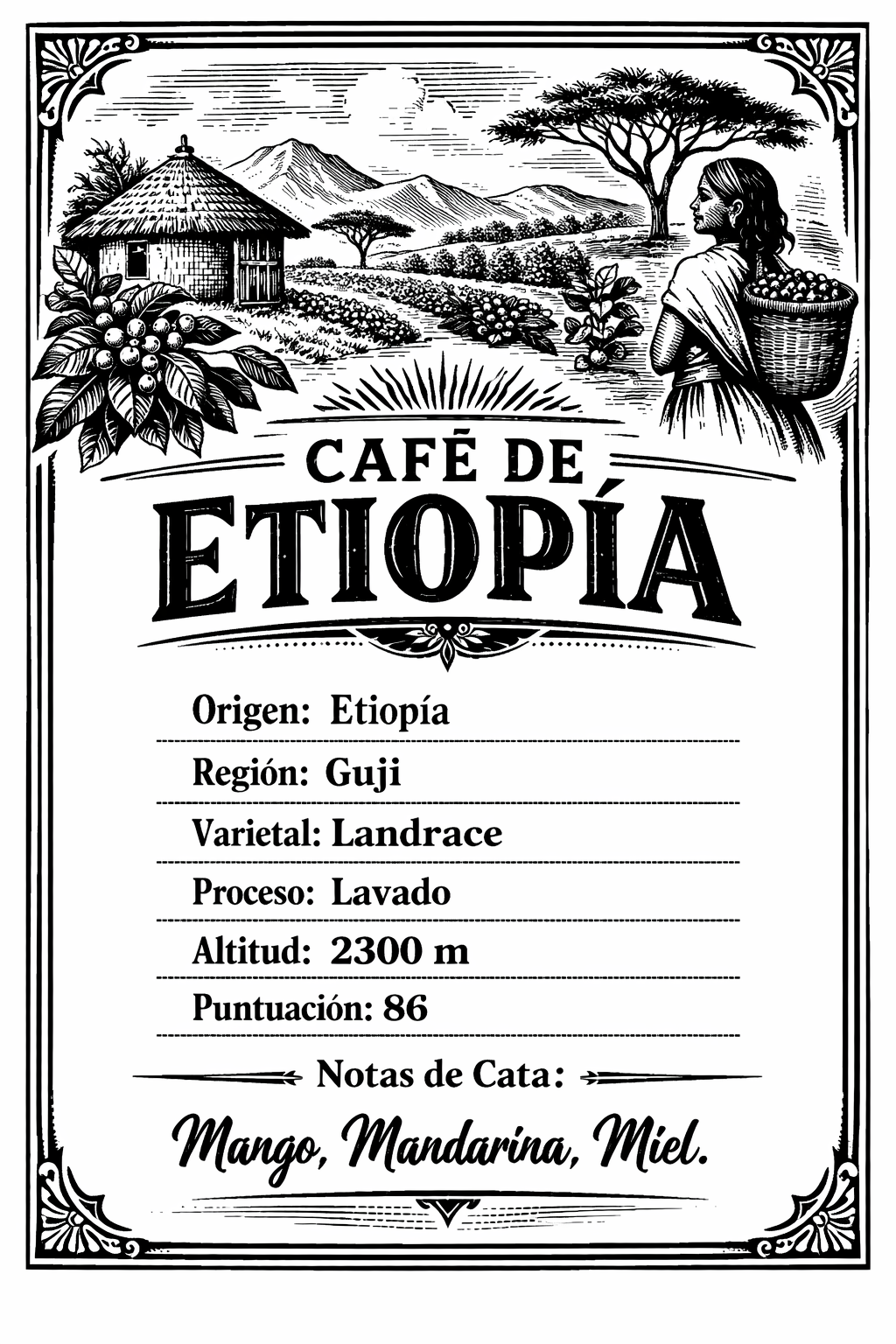 Café de Especialidad - Etiopía, Guji. Notas: Mango, mandarina y miel | 1 kilo